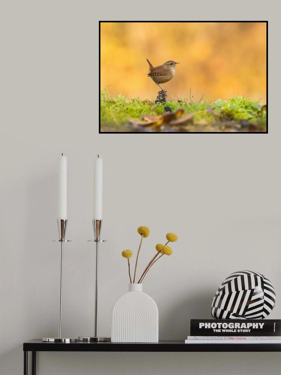 On a pinecone Poster och Canvastavla