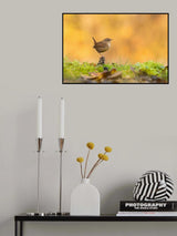 On a pinecone Poster och Canvastavla