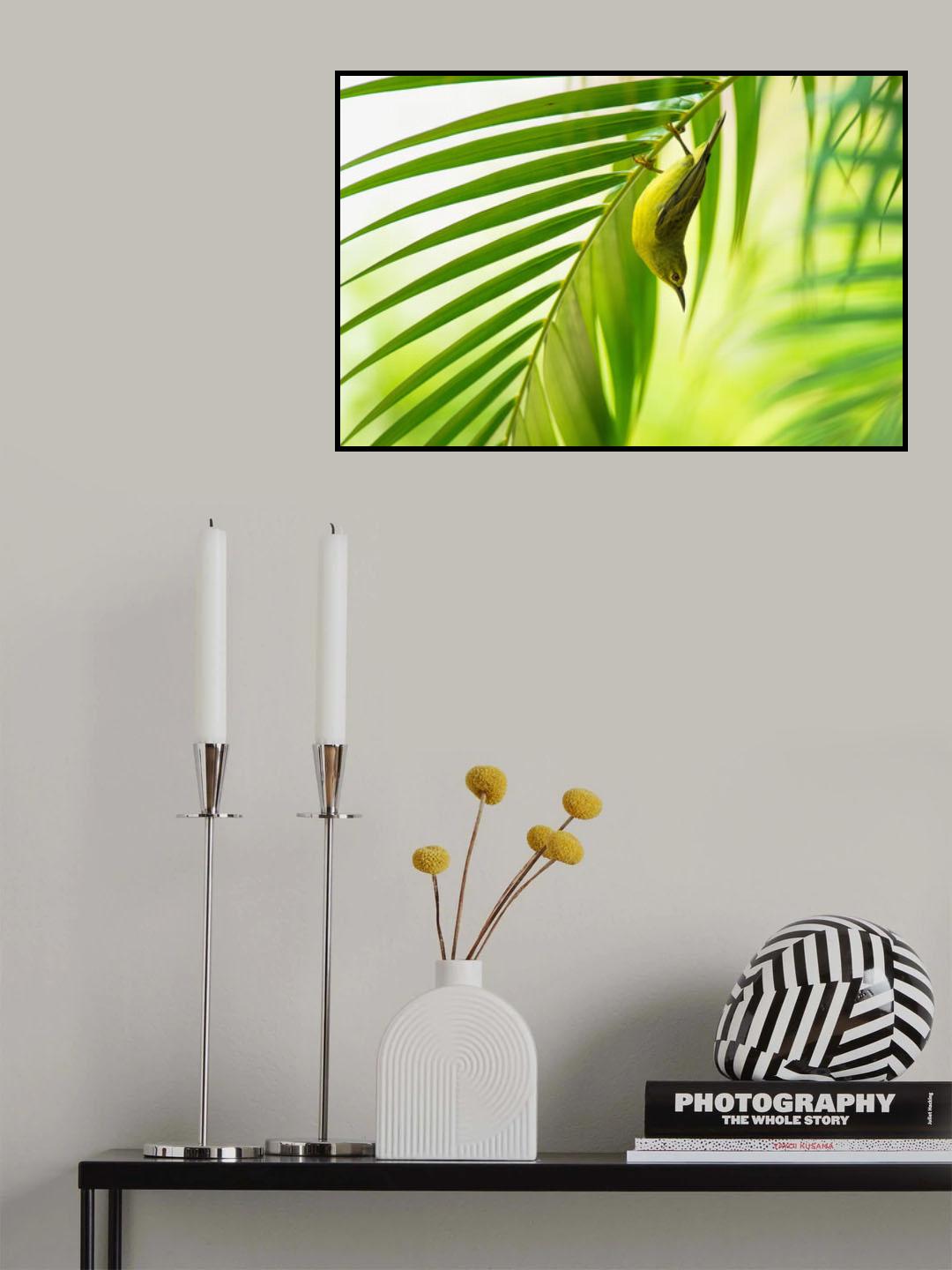 50 shades of green Poster och Canvastavla