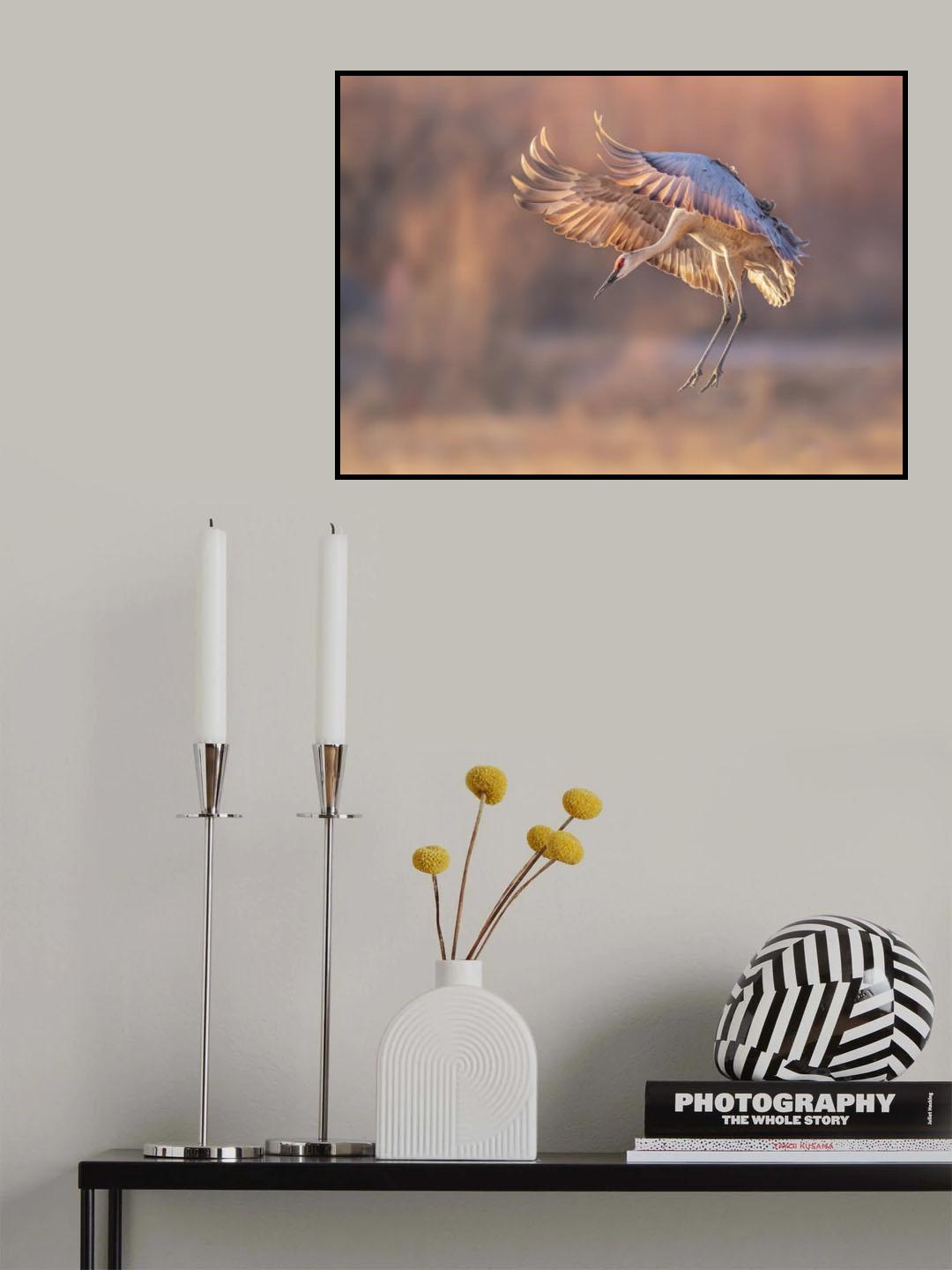 Ready for landing Poster och Canvastavla