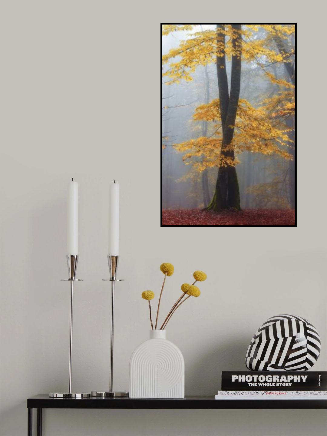 Loving trees Poster och Canvastavla