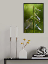 Three Love Poster och Canvastavla