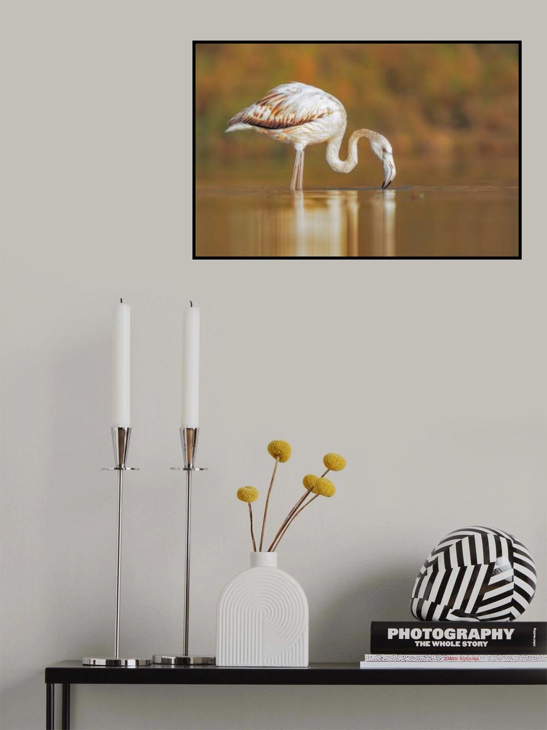 On the water Poster och Canvastavla