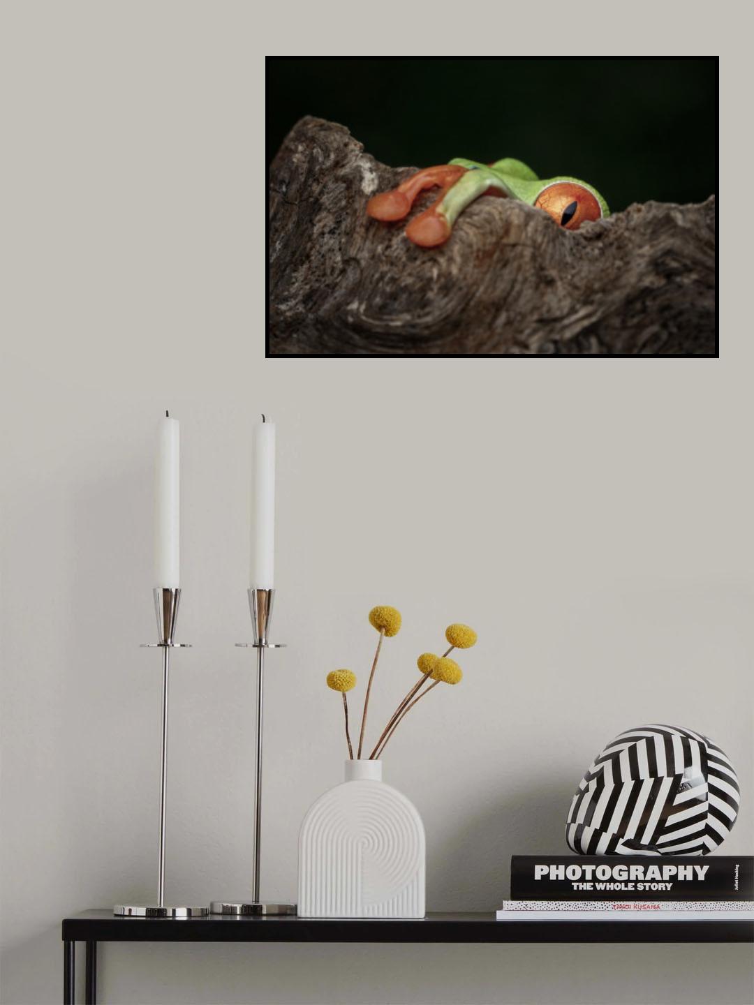 Take a peek Poster och Canvastavla