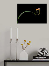 Alone Poster och Canvastavla