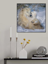 Heart melted Poster och Canvastavla