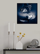 butterfly Poster och Canvastavla
