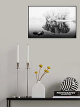 Poster och Canvastavla