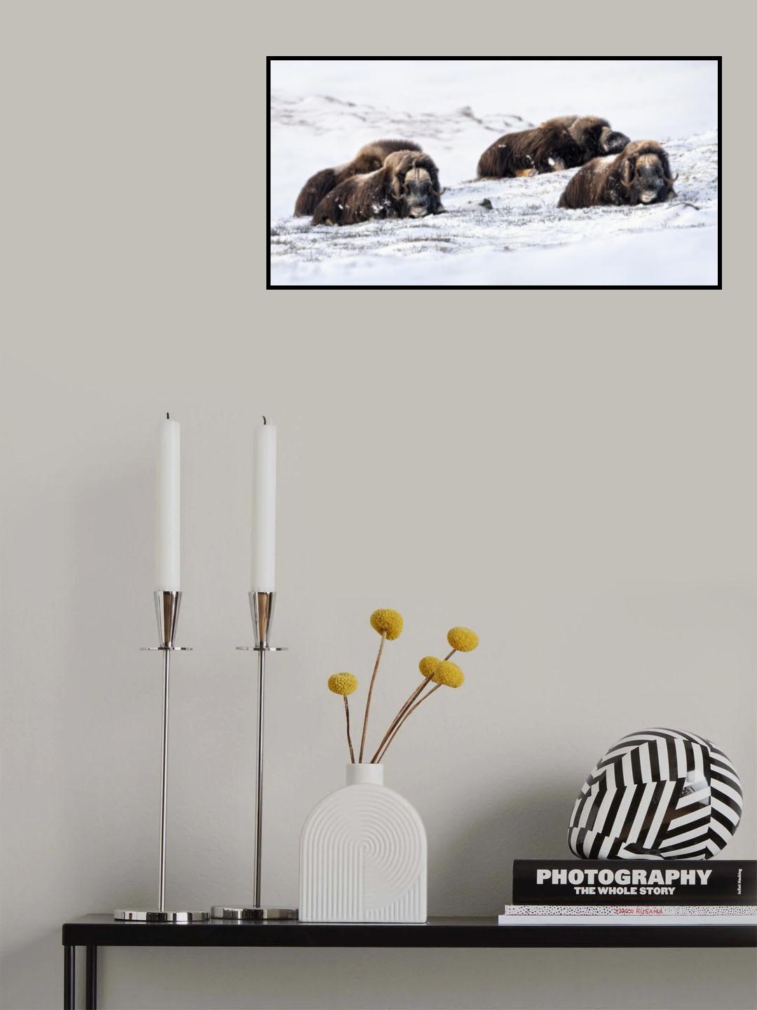 occhi negli occhi Poster och Canvastavla