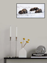 occhi negli occhi Poster och Canvastavla