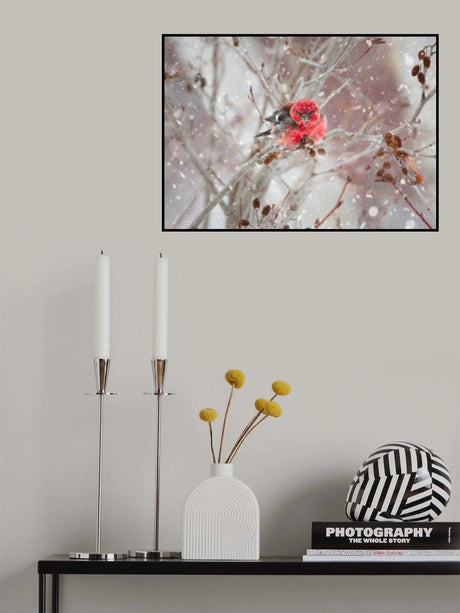 Crossbill  in the Snow Poster och Canvastavla