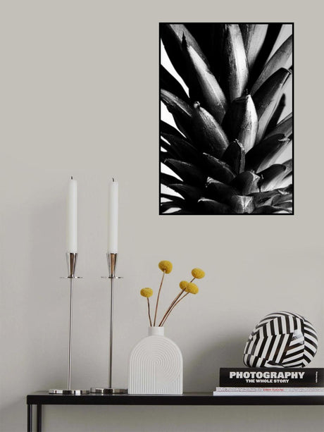 Pine B&w Poster och Canvastavla