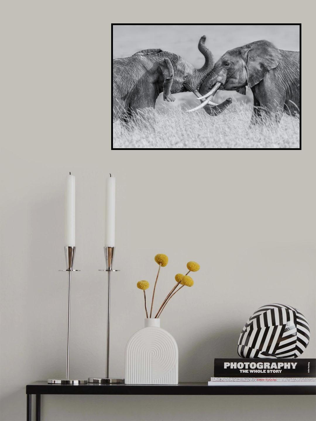 Elephant "Tai Chi" Poster och Canvastavla