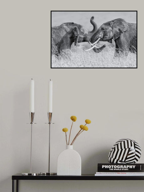 Elephant "Tai Chi" Poster och Canvastavla