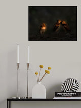 Outcast Poster och Canvastavla