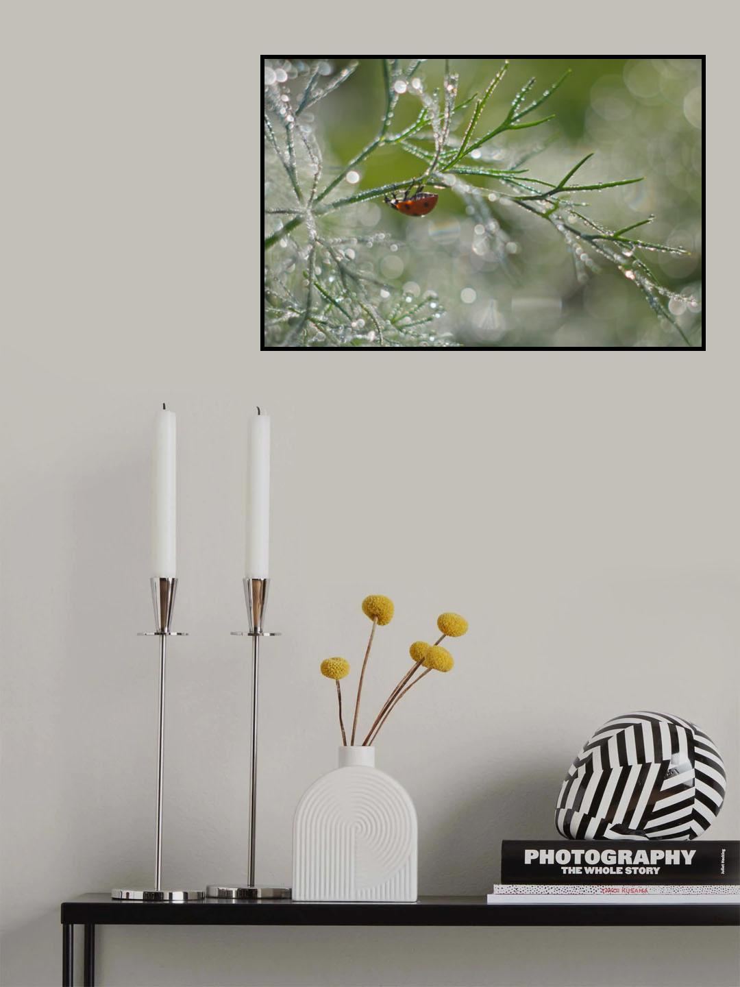 Shine of morning bokeh Poster och Canvastavla