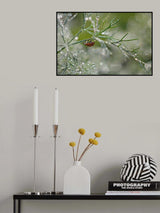 Shine of morning bokeh Poster och Canvastavla