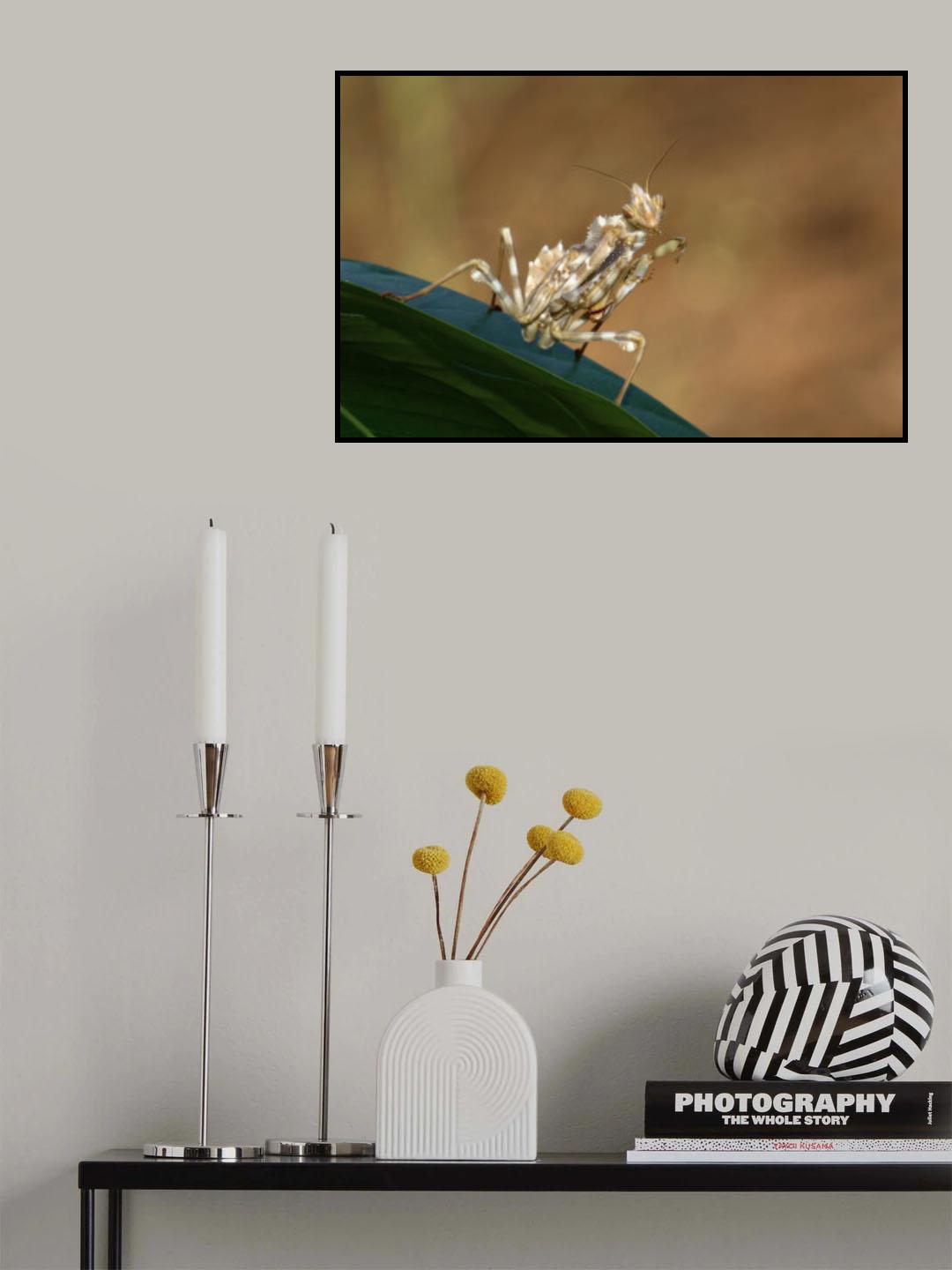 Empusa III Poster och Canvastavla