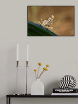 Empusa III Poster och Canvastavla
