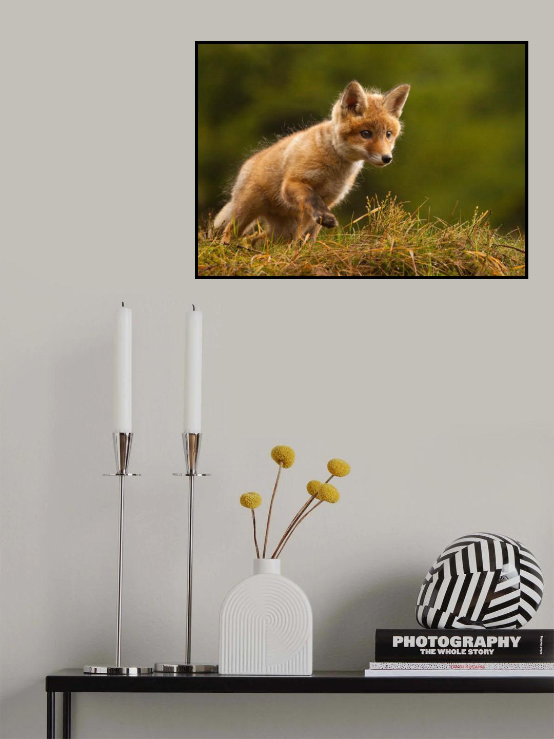 Fox Poster och Canvastavla
