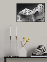 Frank Gehry Iconic Curve Poster och Canvastavla