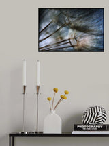 Poster och Canvastavla