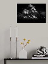 himalayas a perspective Poster och Canvastavla