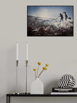 Burning the heather Poster och Canvastavla