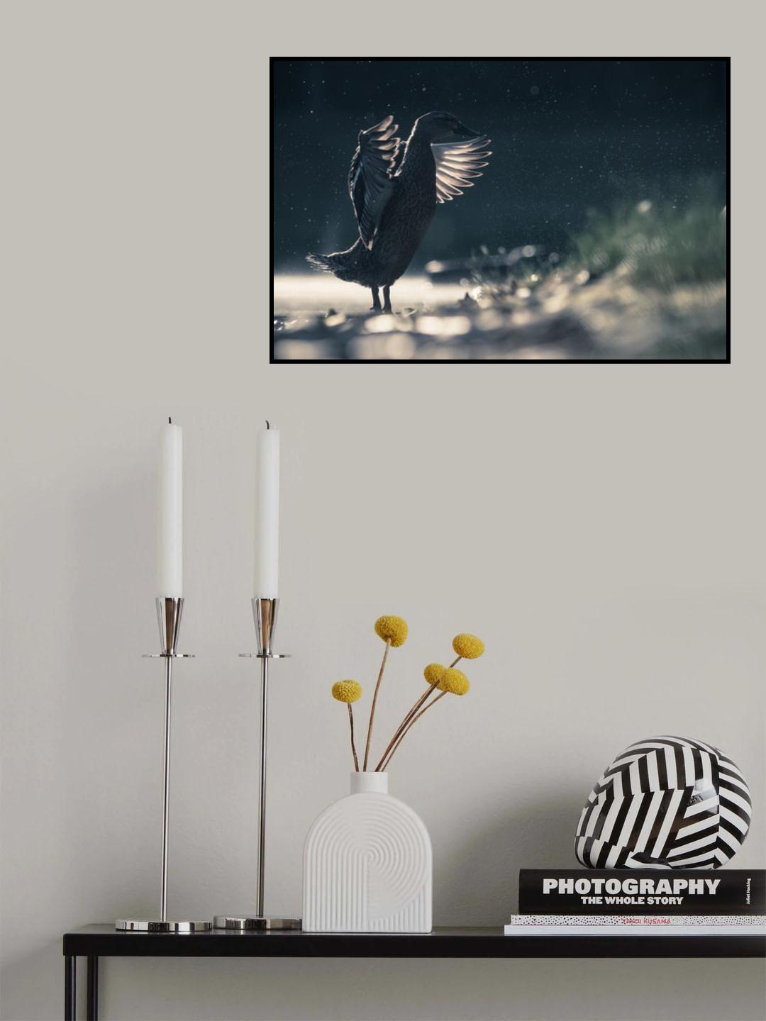 Duck Poster och Canvastavla