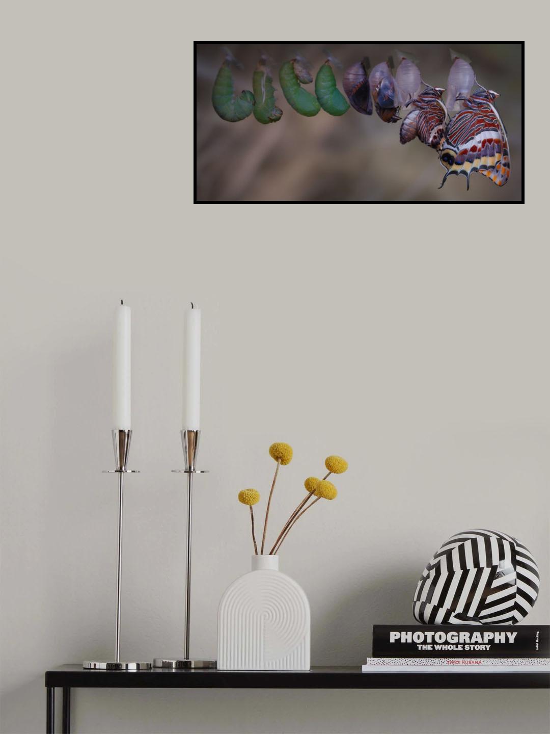 Metamorphosis Poster och Canvastavla