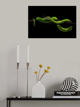 viper one Poster och Canvastavla