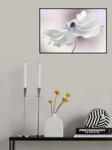 Anemone breeze Poster och Canvastavla