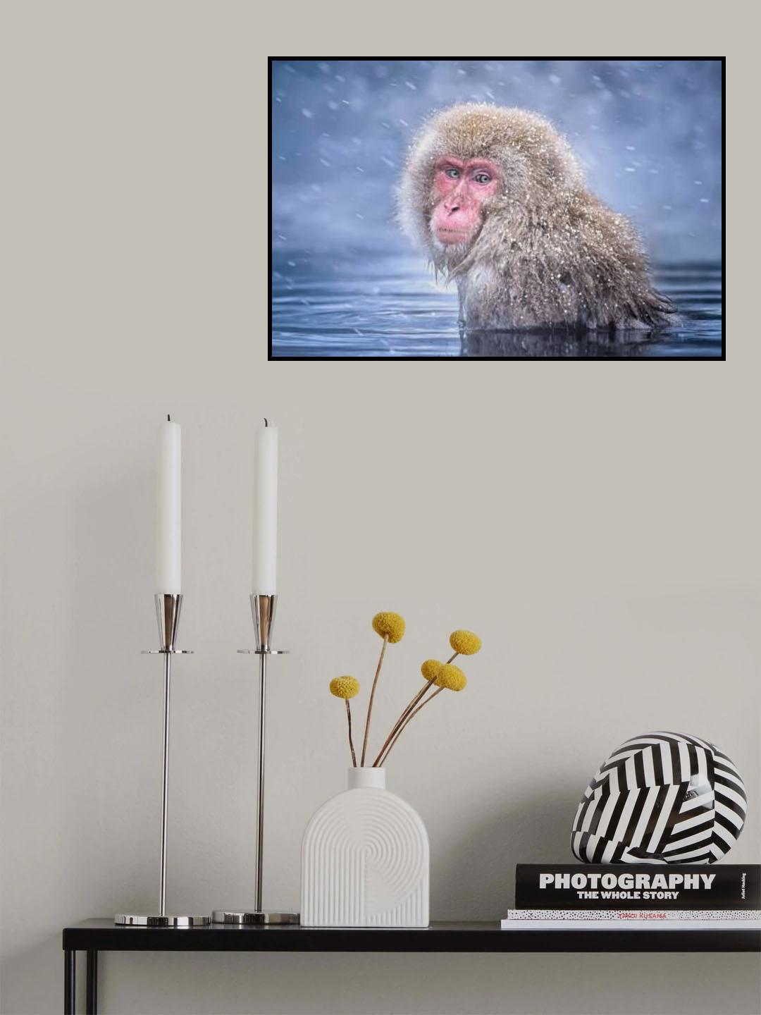 Snow Monkey Poster och Canvastavla