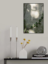 Wall, climbing plant Poster och Canvastavla