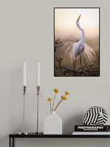 Solo Dance Poster och Canvastavla