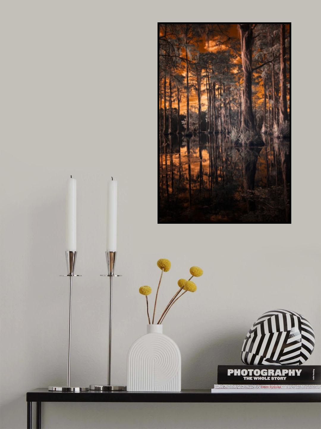 Cypress Study #2 Poster och Canvastavla