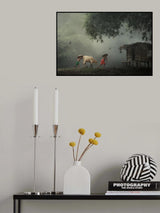 Herding Cow Poster och Canvastavla