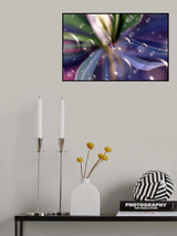 In the heart of the rainbow... Poster och Canvastavla