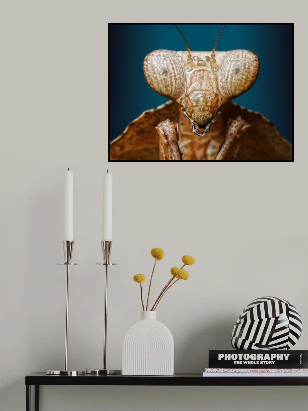 Facet eyes Poster och Canvastavla