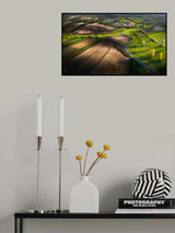 Fields Poster och Canvastavla