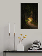 Fairytale forest Poster och Canvastavla