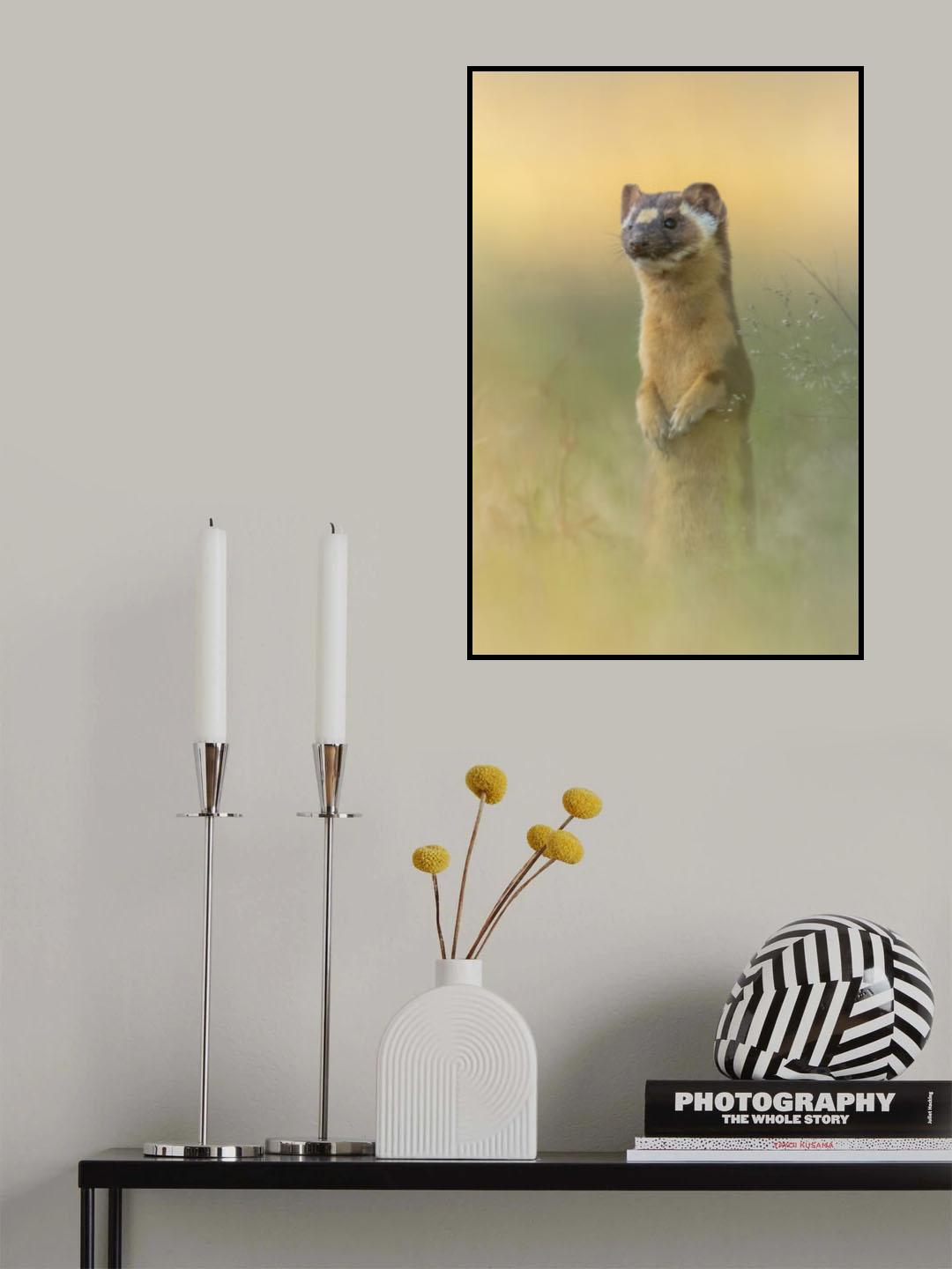 Standing and watching Poster och Canvastavla