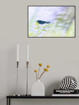 surf a leaf Poster och Canvastavla