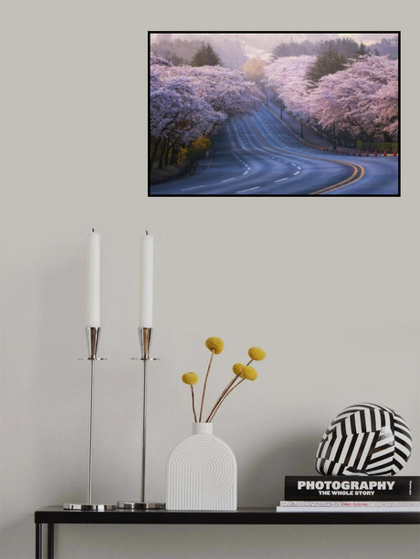 Cherry blossoms Poster och Canvastavla