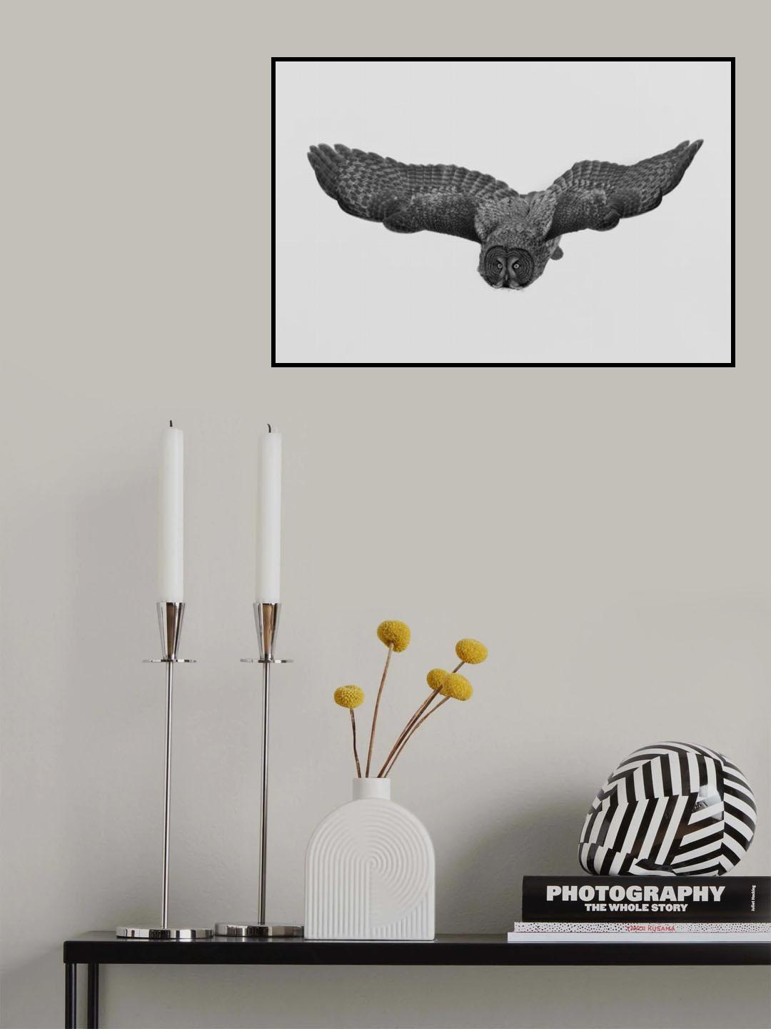 A Northern phantom Poster och Canvastavla