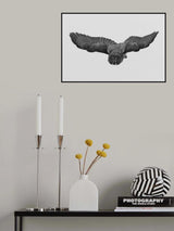 A Northern phantom Poster och Canvastavla