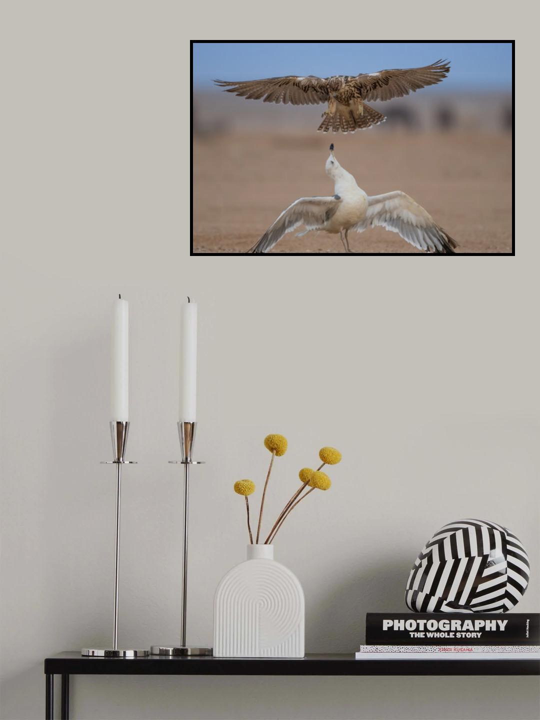 The life of a seagull Poster och Canvastavla