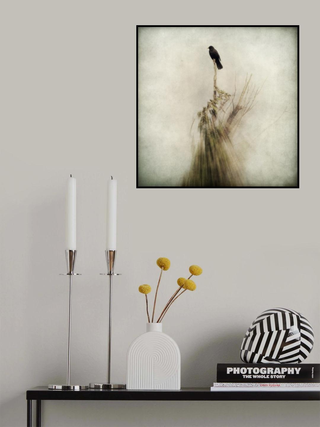 The last refuge Poster och Canvastavla