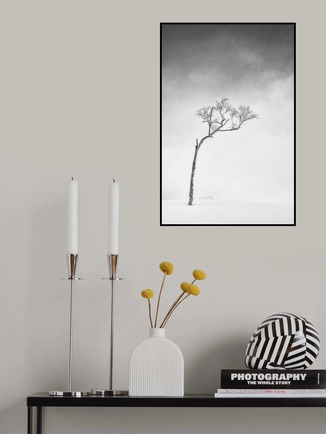 Hokkaido, Serie Tree, Study 1 Poster och Canvastavla
