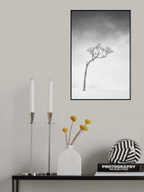 Hokkaido, Serie Tree, Study 1 Poster och Canvastavla